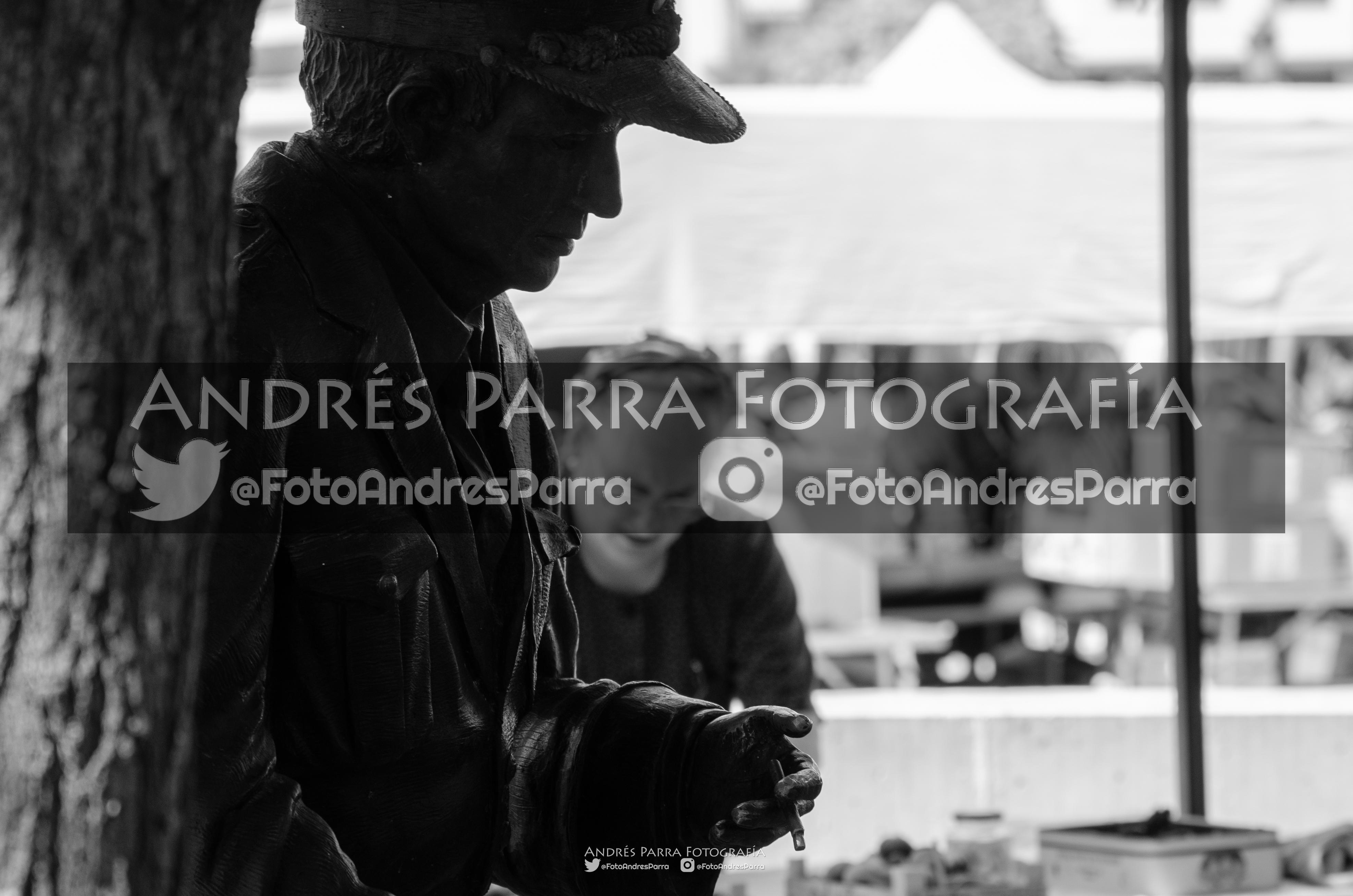 Mercado_Tradicional_Tomelloso_2025