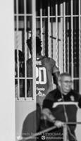 Revelado